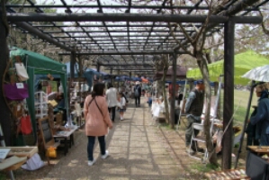 wp-1460279049999 image